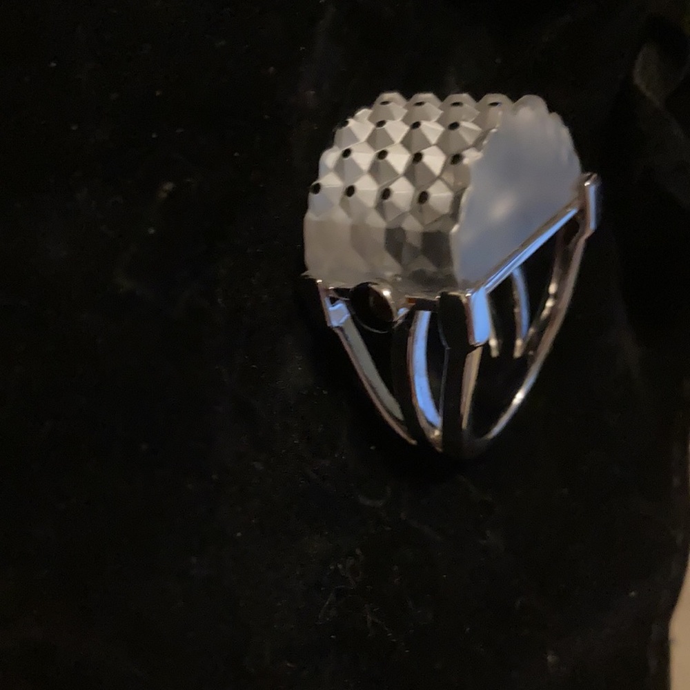 Lalique Silver Rectangular Cactus Ring Size 51 - image 3